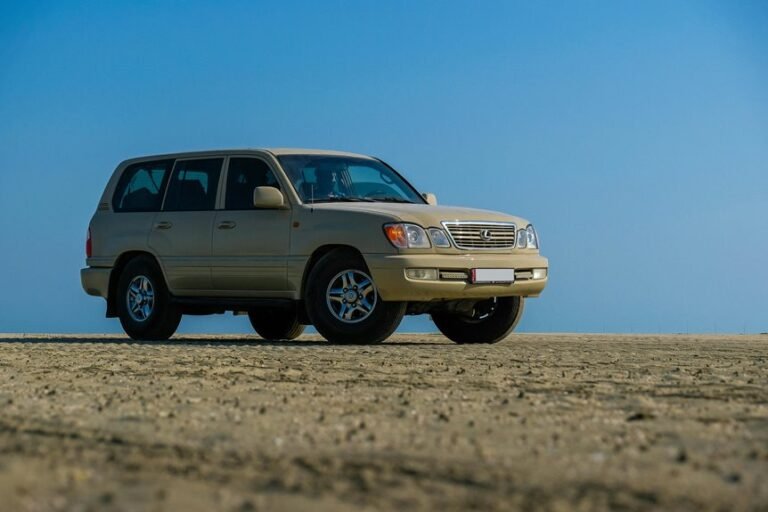 stable online platform 6015885320